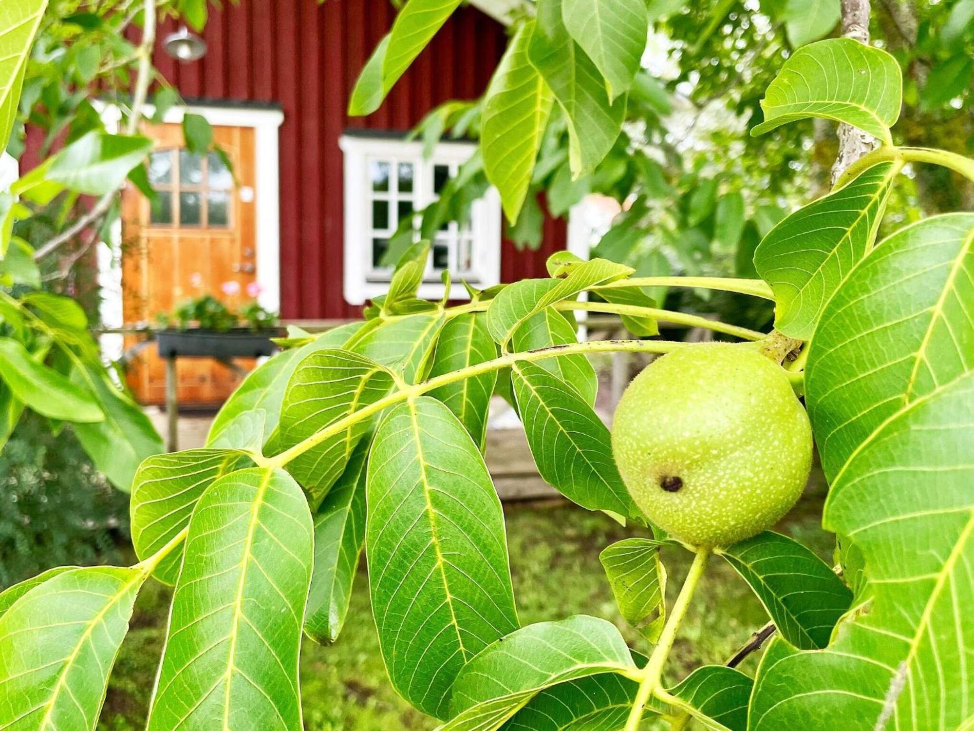 Holiday Home Malaretorpsvaegen Borgholm Bagian luar foto